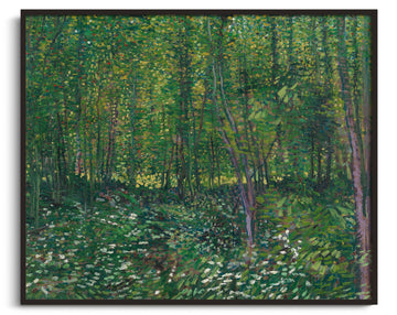 Inspiration Van Gogh - Arbres et sous-bois